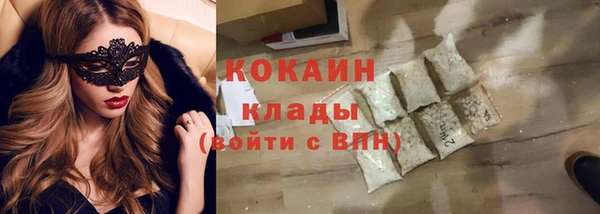 прущий лед Алзамай