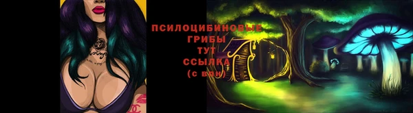 прущий лед Алзамай