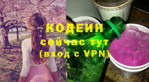 прущий лед Алзамай