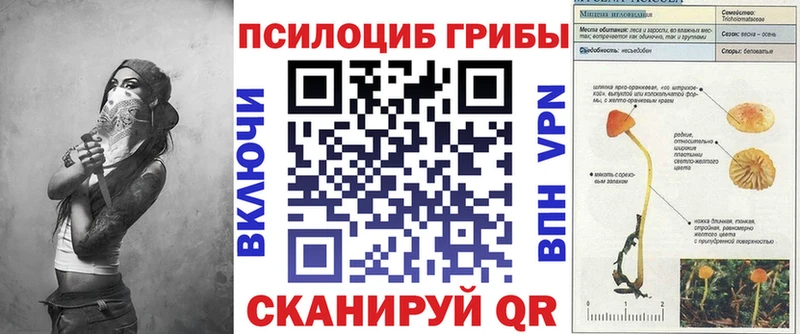 купить наркотики цена Биробиджан OMG ONION Галлюциногенные грибы Psilocybe